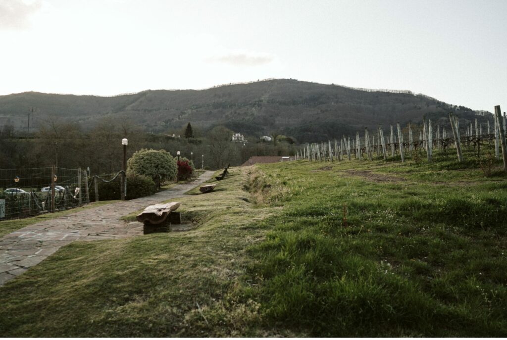 Boda Hondarribia Photoletum Studio Fotos y videos bodas