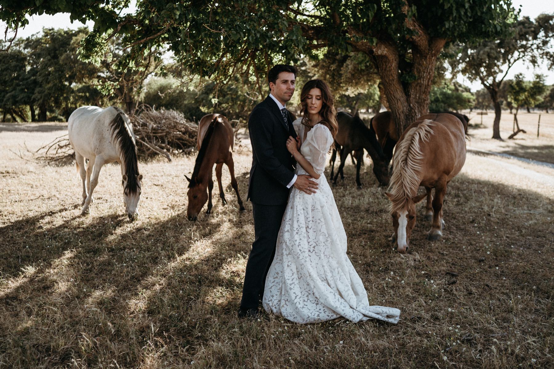 Fotos boda Oropesa novios caballos